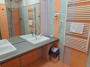 布尔诺Hotel Centrum Brno的一间带水槽和镜子的浴室