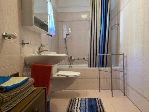 RossaApartment Casa della Posta-2 by Interhome的一间带水槽、卫生间和淋浴的浴室