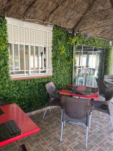 圣何塞阿罗哈旅馆的一个带桌椅和绿色墙壁的庭院