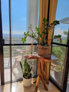 AngonoDicimulacion Staycation House的窗户前的桌子上放着植物