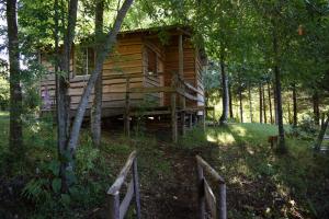 比亚里卡Proyecto COYAM, cabañas lofts, tinas privadas, sendero por el bosque的树林中间的小木屋