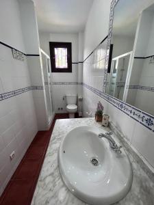弗里希利亚纳Villa en Frigiliana con Piscina y Jacuzzi的白色的浴室设有水槽和卫生间。