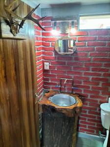 Fortín de las FloresCabaña La Bamba的一间带砖墙和水槽的浴室