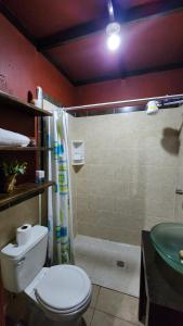 圣安娜Tía Mema Hostal的浴室配有卫生间、淋浴和盥洗盆。