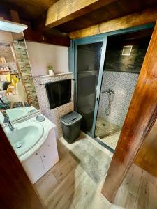 蓬塔杜帕戈Victoria Tiny Stone House的一间带水槽和淋浴的浴室