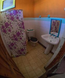 皮奇勒姆Bichon La Casa Hostal的浴室配有水槽、卫生间和浴帘