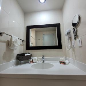 GuadalupeHotel CH的一间带水槽和镜子的浴室