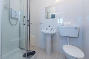 戈尔韦Clonbur House - Studio village apartment的浴室配有卫生间、盥洗盆和淋浴。