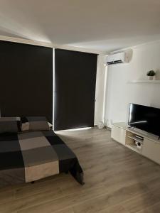圣米格尔德阿沃纳Dreams vacation tenerife的一间卧室配有一张床和一台平面电视