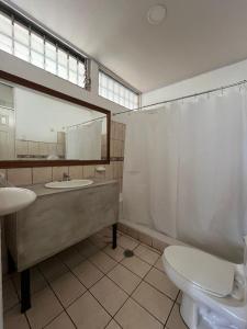 圣何塞Gaudys Hotel的一间带水槽、卫生间和镜子的浴室