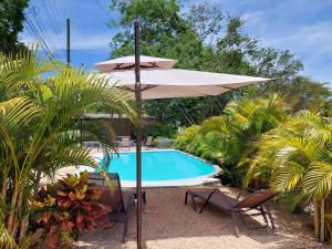 塔马林多Hotel Casa Carlota Tamarindo的游泳池旁的遮阳伞和椅子