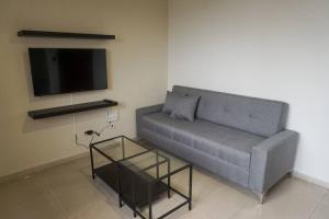 圣多明各Hermoso Apartamento Cerca de la Embajada Americana的带沙发和电视的客厅