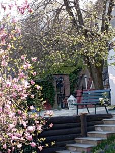 卢里西亚B&B Casa dell'Orso的公园长凳,旁边是一座粉红色的花