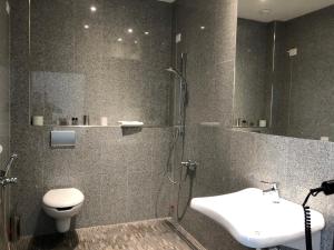 罗马Loto Business Hotel的带淋浴、卫生间和盥洗盆的浴室