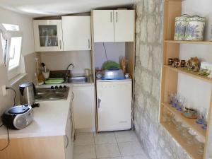 拉斯托伏Apartment Cacini Dvori的一间带水槽和冰箱的小厨房