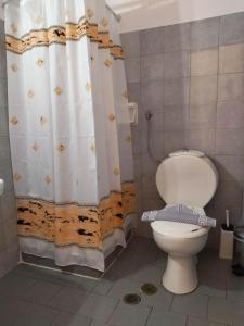 Áyios KonstandínosASTIR COSY LIVING HOTEL的一间带卫生间和淋浴帘的浴室