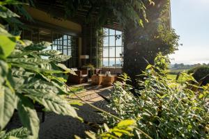 吉塔里亚伊图雷吉酒店的一间设有大窗户的房间,并种植了植物