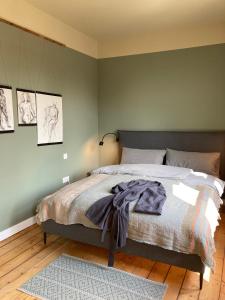 代特莫尔德RaumAusbeute Design Apartment NaturRaum的一间卧室设有一张带绿色墙壁的大床