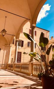 巴勒莫Palazzo Ventimiglia的一座建筑,前面有拱门和植物