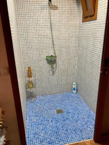 圣克鲁斯-德特内里费Casa Cueva - L&L的浴室铺有蓝色瓷砖地板,设有淋浴。