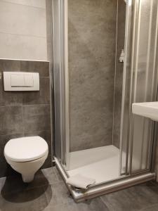 皮斯波尔特Alt Reinsport的带淋浴、卫生间和盥洗盆的浴室