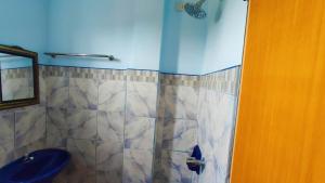 ZambalesEmshienell Beach Resort and Event Place的带淋浴和蓝色卫生间的浴室