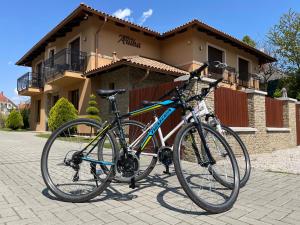 凯斯特海伊Villa Aruba & Private SPA Suites的两辆自行车停在房子前面