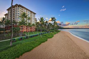拉海纳毛伊岛海洋俱乐部万豪酒店 - 拉海纳&纳皮里大厦的享有棕榈树海滩和大楼的景色
