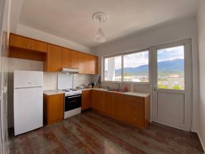 ZipárionNymphaea sea view apartment的厨房配有木制橱柜和白色冰箱。