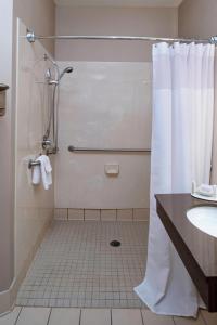 弗兰肯默斯弗兰肯默斯万豪春季山丘套房酒店的带淋浴和盥洗盆的浴室