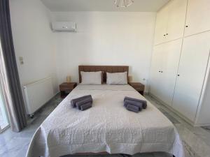 ZipárionNymphaea sea view apartment的一间卧室配有一张大床和两个枕头