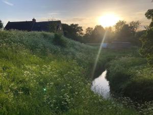 斯托尔河畔希普斯顿Whichford Mill Barn- Soulful retreat.的一片草地,背着太阳