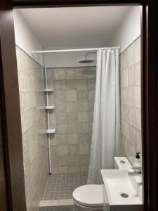 阿洛拉Casa Alora的带淋浴、卫生间和盥洗盆的浴室