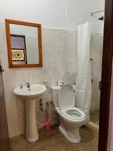 拉穆Beytsalaam Apartments的一间带卫生间、水槽和镜子的浴室