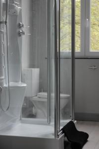 斯普里蒙Liotte'sCorner Guesthouse的一间带卫生间和玻璃淋浴间的浴室