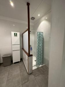 圣克鲁什达什弗洛里什Paradise Apartments I的浴室设有带浴帘的步入式淋浴间