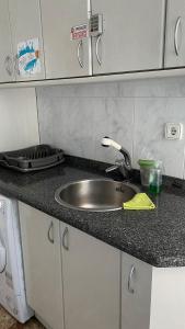 桑坦德桑坦德旅馆的厨房柜台设有水槽和炉灶。