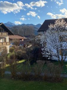 卑尔根Bayern Lodge Bergen的享有拥有鲜花树的城镇美景