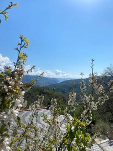 拉帕洛La Riviera Bed & Breakfast的从山顶上欣赏山景,种有鲜花