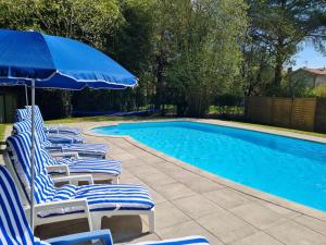 Ansac-sur-Vienne福乐尔德里斯酒店的一组草坪椅和遮阳伞,位于游泳池旁