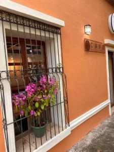 圣安娜Tía Mema Hostal的一座建筑里种有紫色花的阳台