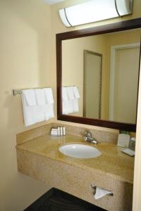 加尔维斯敦加尔维斯顿岛春季山丘套房酒店的一间带水槽和大镜子的浴室