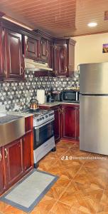乔治敦Odyssey Suites Loft Apartment的厨房配有木制橱柜和不锈钢冰箱。
