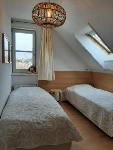 玛库姆Beach Villa Makkum的一间卧室设有两张床、一个窗户和一个吊灯。