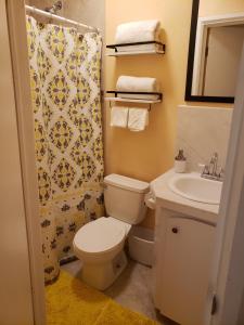 拿骚Kaylavill的浴室配有卫生间、盥洗盆和淋浴。