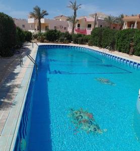 沙姆沙伊赫Villa Dina的一座拥有蓝色海水和棕榈树的大型游泳池