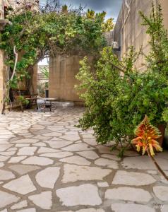 沙拉Il Gnejna的一座石头地板和植物的庭院和一座建筑
