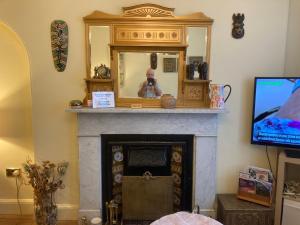 贝尔法斯特Mountroyal Victorian Self Catering Apartment 2的客厅设有壁炉、镜子和电视