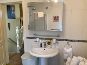 贝尔法斯特Mountroyal Victorian Self Catering Apartment 2的一间带水槽和镜子的浴室