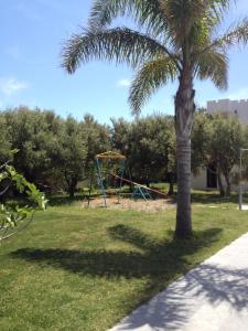 依拉佩特拉艾琳别墅的公园里的棕榈树和游乐场